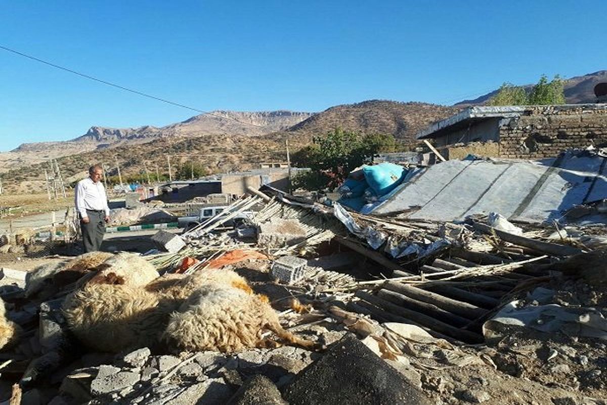 ‍ خسارت۲۰۰ میلیارد ریالی  زلزله به کشاورزی و دامپروری گیلانغرب