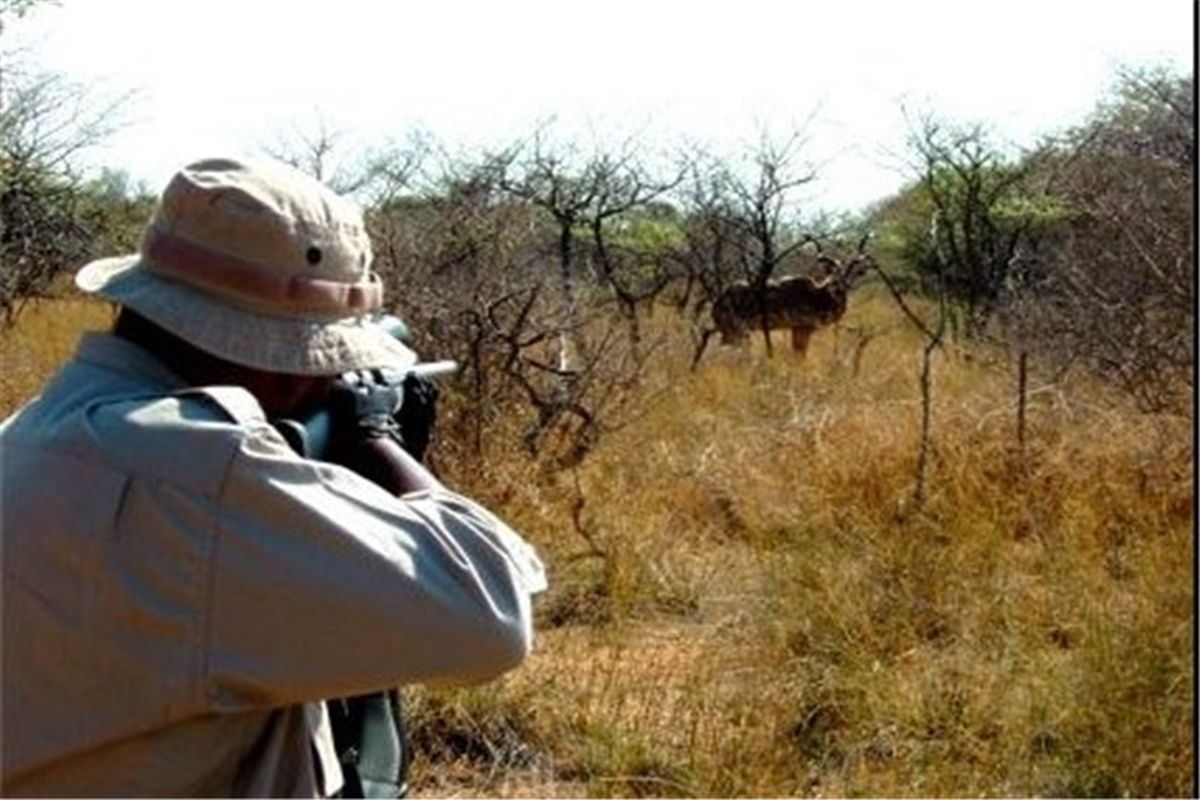 دستگیری شکارچی متخلف در الیگودرز