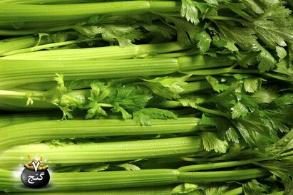 آشنایی با فواید کرفس و خواص آن