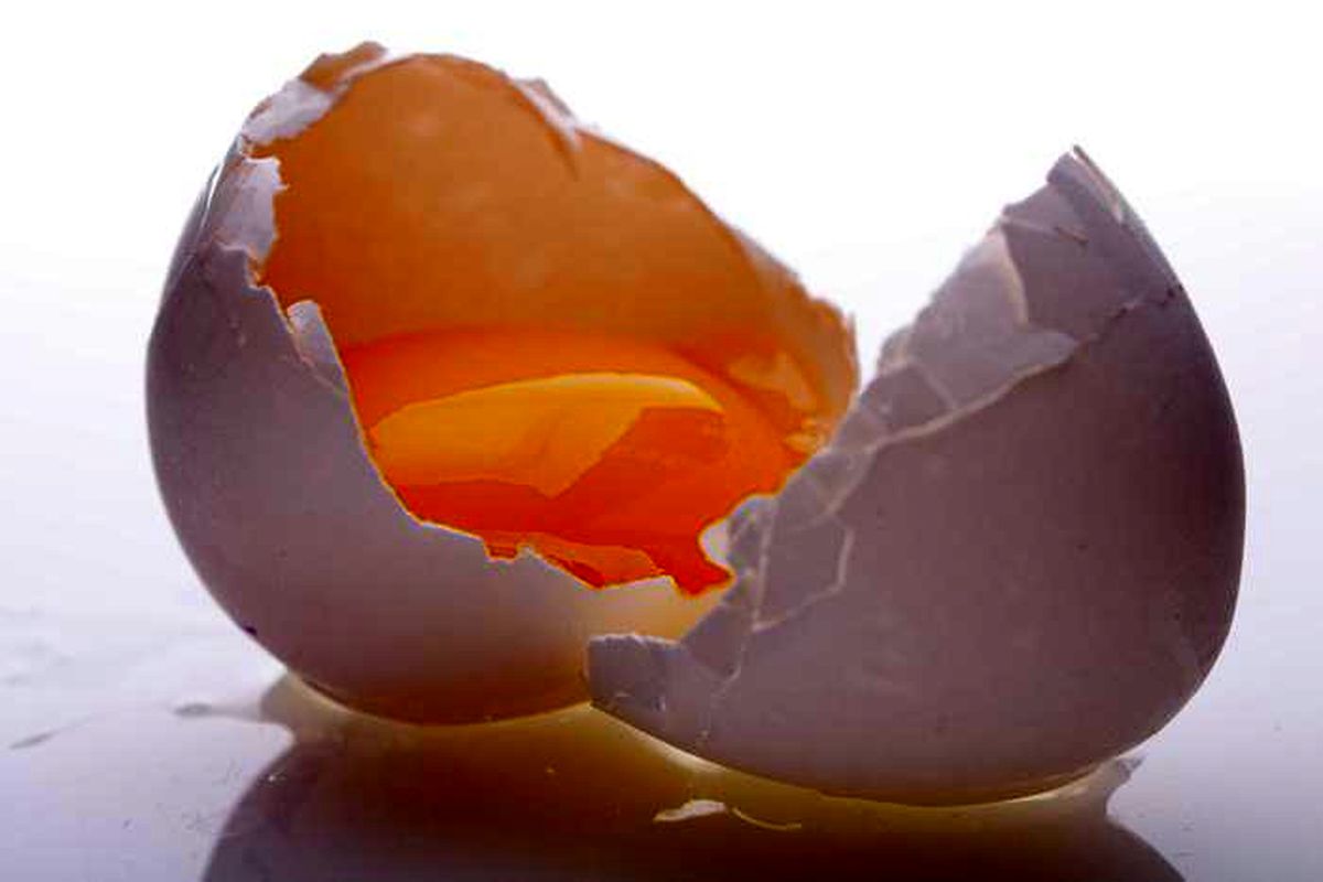 آیا تخم مرغ قهوه ای سالم تر از تخم مرغ سفید است؟
