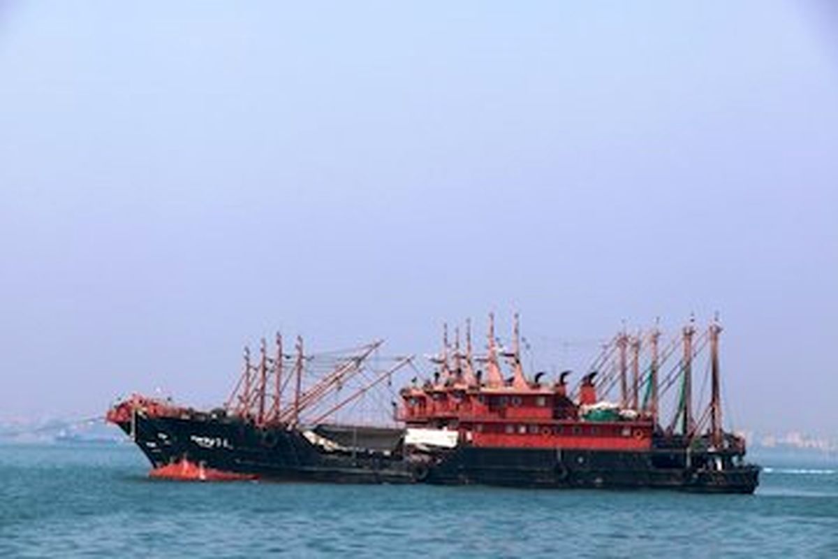 هیچ کشتی خارجی برای صید اجازه ورود به آب‌های ایران را ندارد/ چینی‌ها، برای آموزش صیادان در هرمزگان هستند