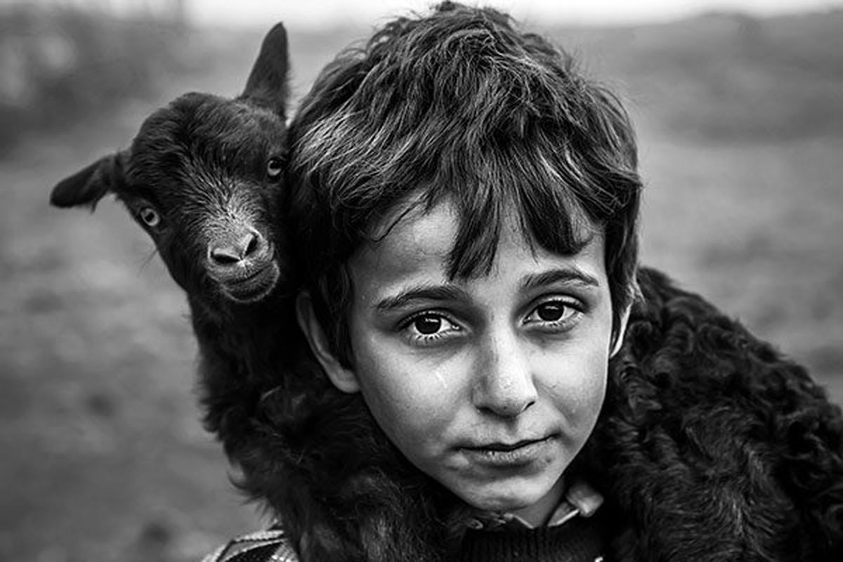عکاسان ایرانی در جشنواره عکس مونته‎نگرو تجلیل شدند