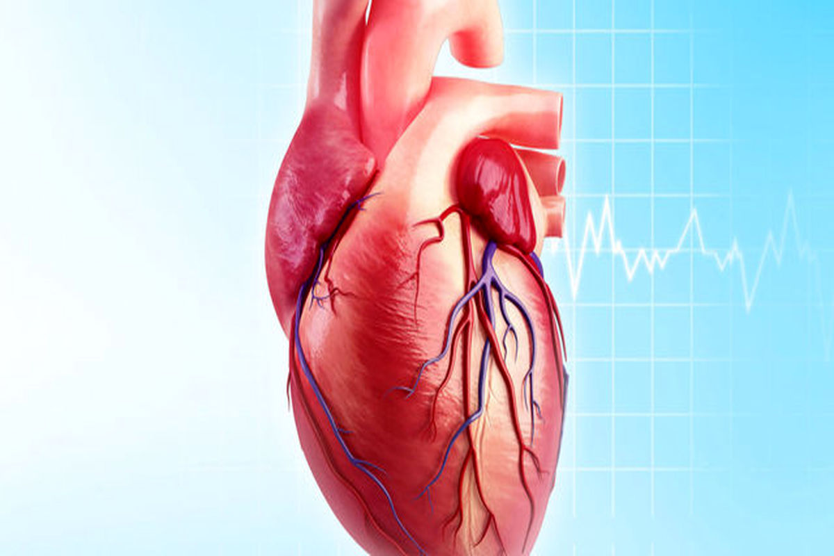 ۶ علامتی که از بیماری های قلبی عروقی خبر می دهند