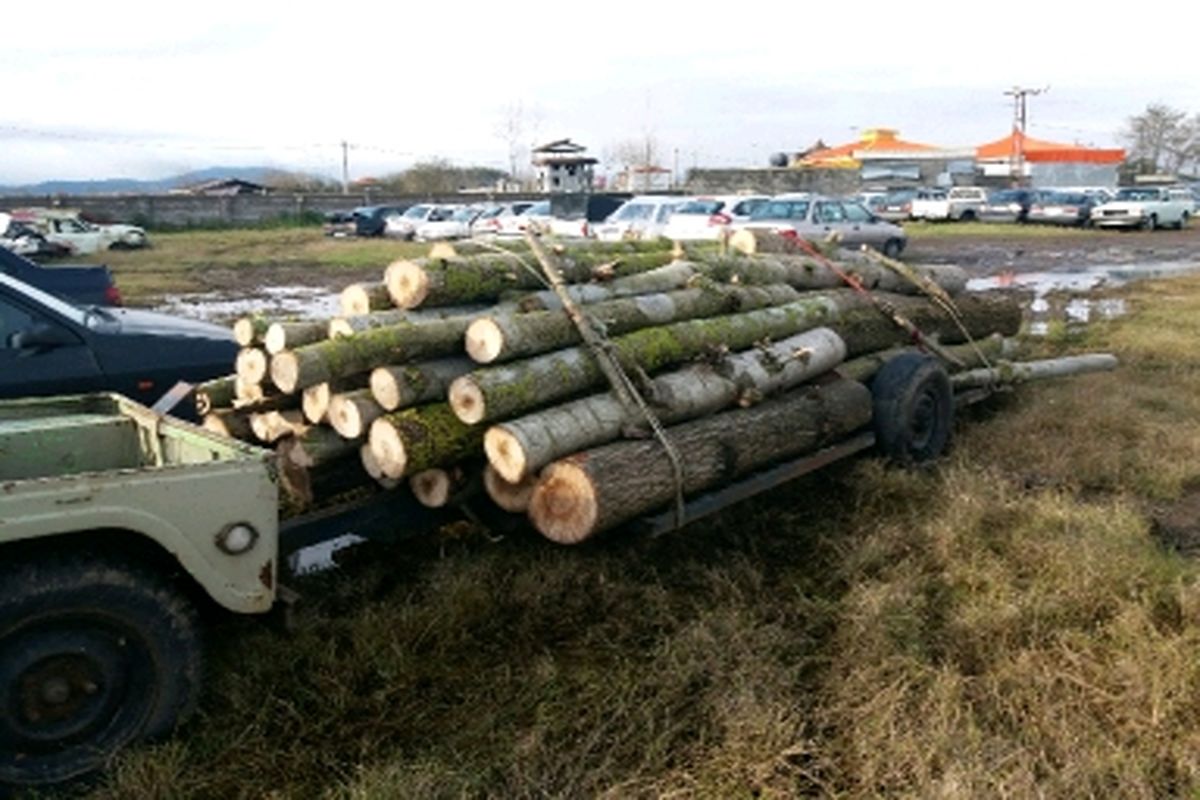 کشف ۱۰ تن چوب جنگلی قاچاق در لنگرود