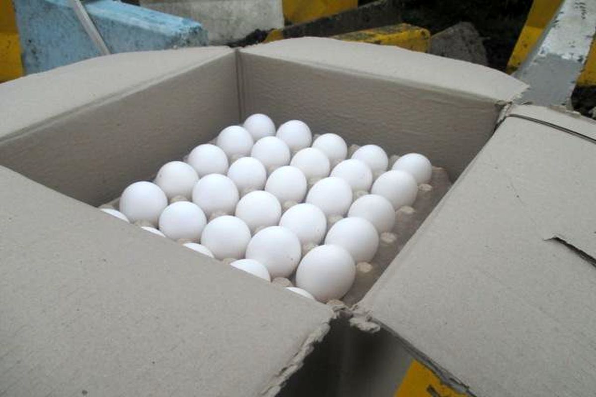 کشف بیش از ۴ تن تخم مرغ فاسد در آستارا