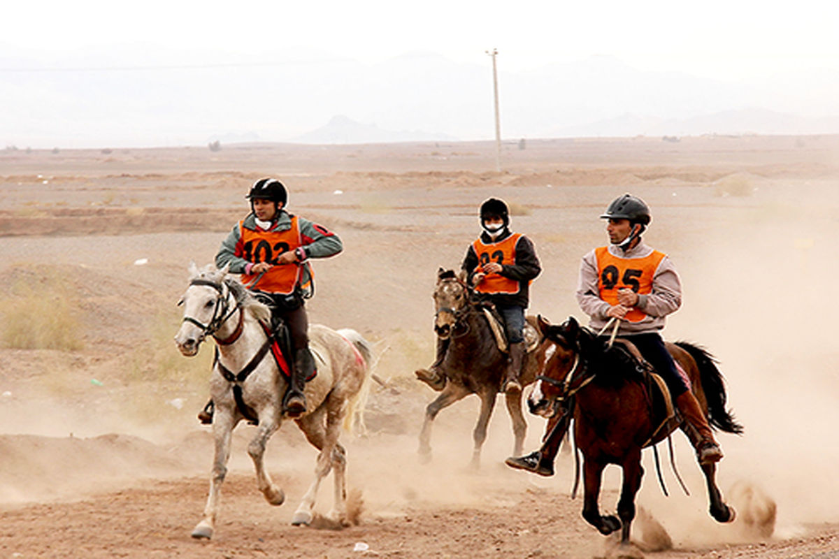 سوارکار کردستانی در مسابقات اسب سواری استقامت قهرمانی کشور مقام سوم را کسب کرد