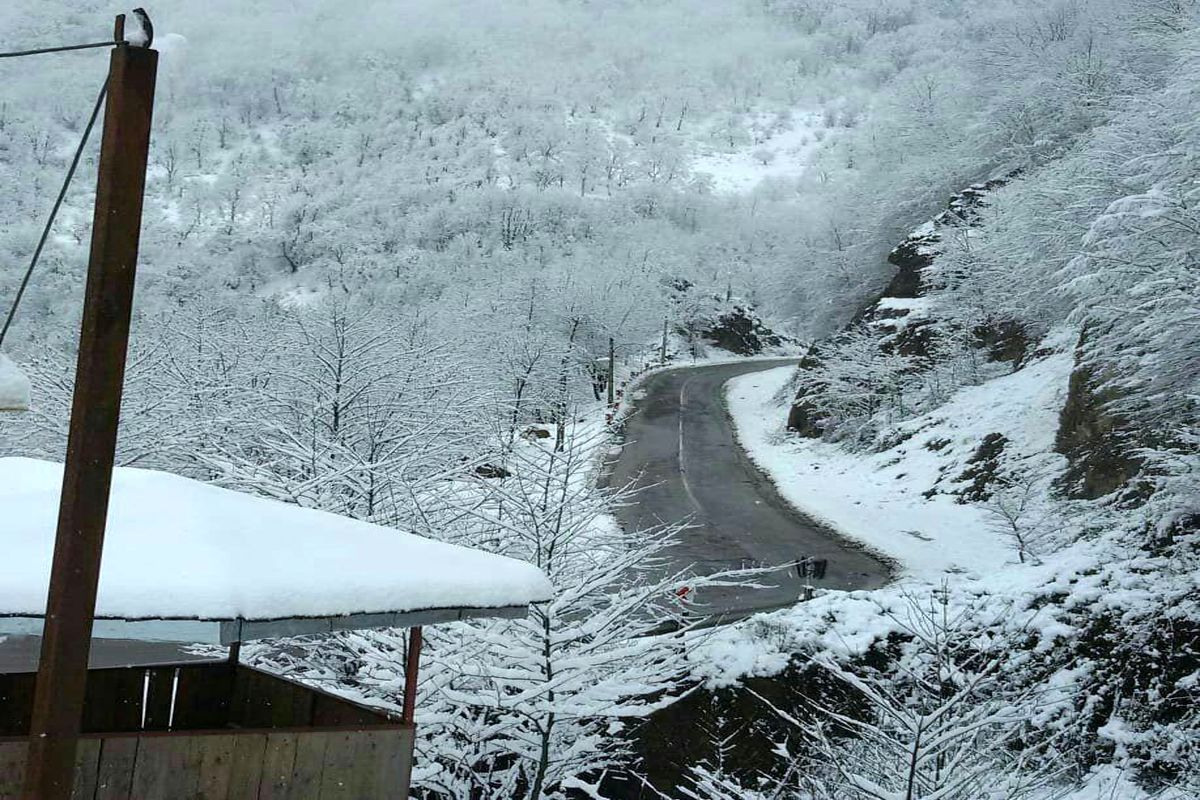 بارش برف و باران در گیلان