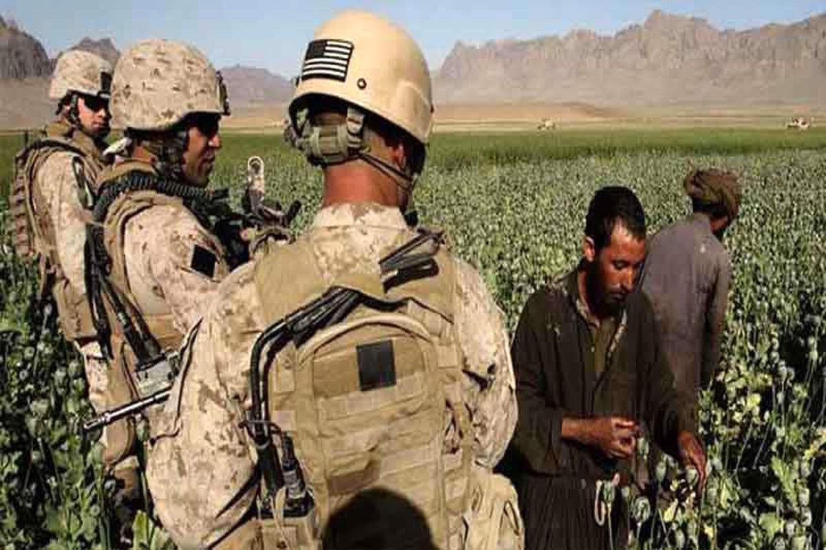 نقش آمریکا و گروه‌های تروریستی در توسعه کشت مواد مخدر در افغانستان