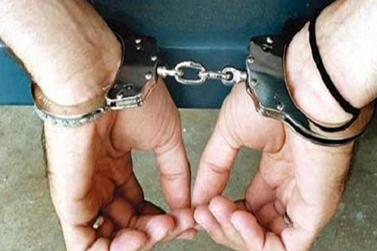 طی روزهای اخیرشکارچیان غیر مجاز در شهرستان‌های زنجان دستگیر شدند