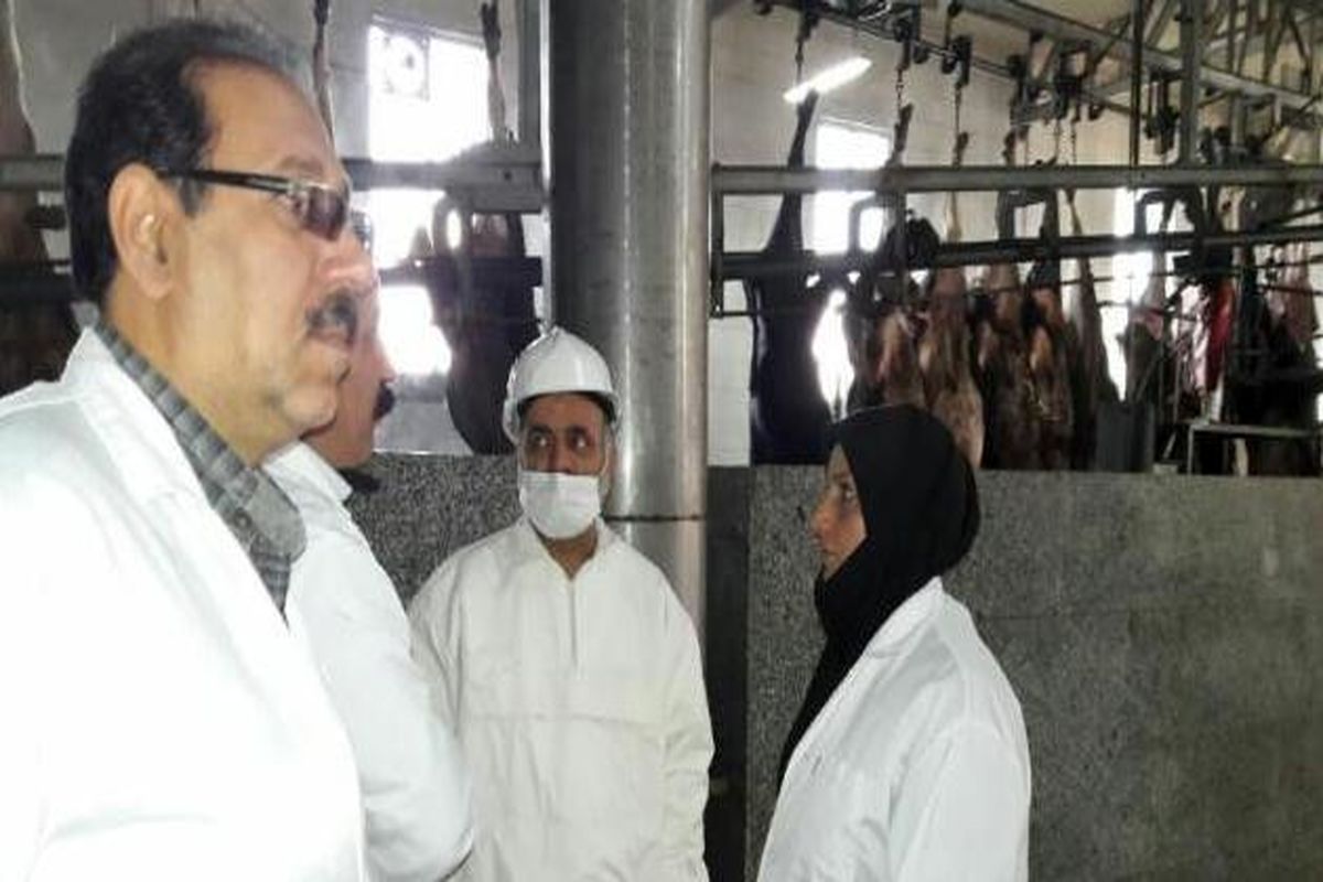 نظارت بر توزیع  لاشه گوشت گرم در کشتارگاه های استان