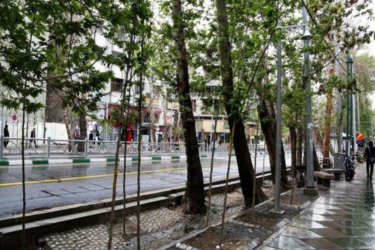 درختان کهنسال به ولیعصر می آیند/ حرکت کاروان گل و گیاه در تهران