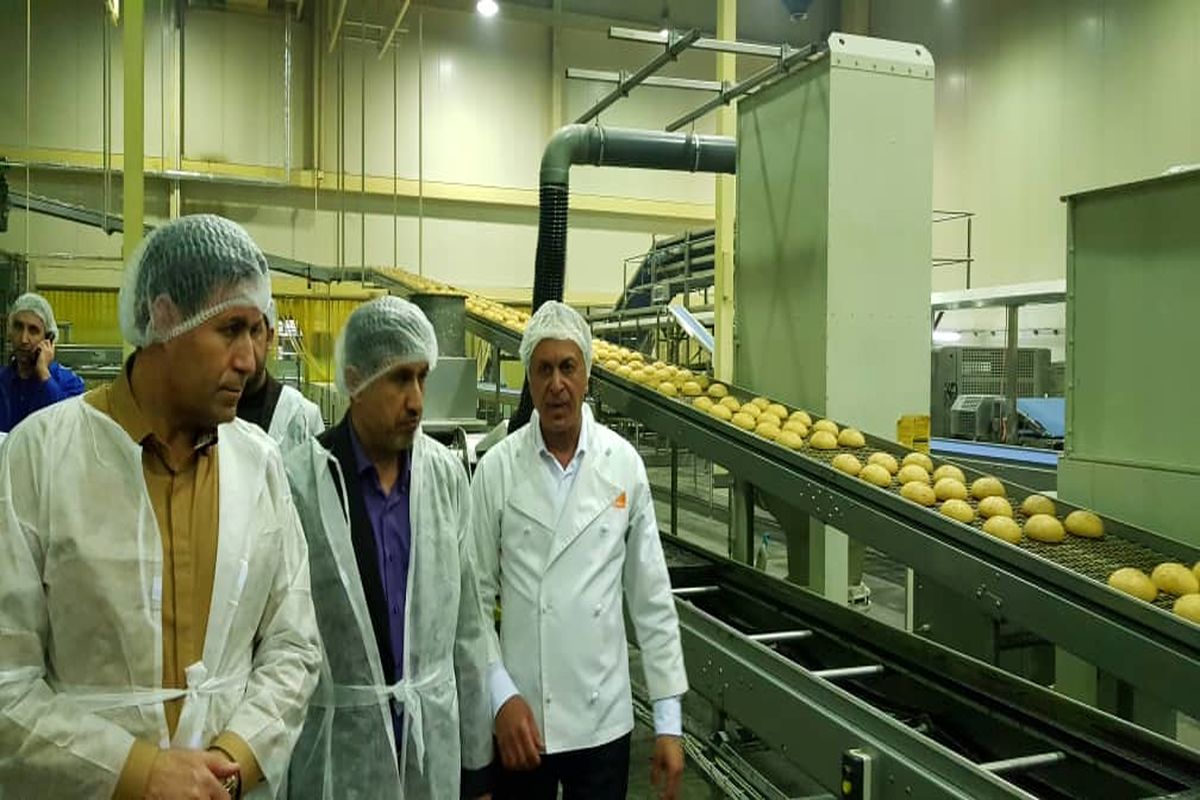 بازدید سرزده استاندار البرز از یک واحد تولید نان صنعتی