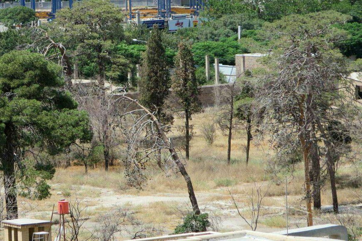 شورای شهر قم: مسئولان دانشگاه امام صادق باغ سالاریه را برای توسعه فضای سبز شهر نمی دهند