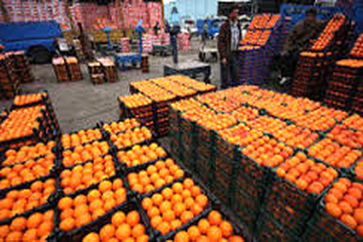 ۷۵۰ تن پرتقال و ۳۵۰ تن سیب برای ایام نوروز در قم ذخیره شده است