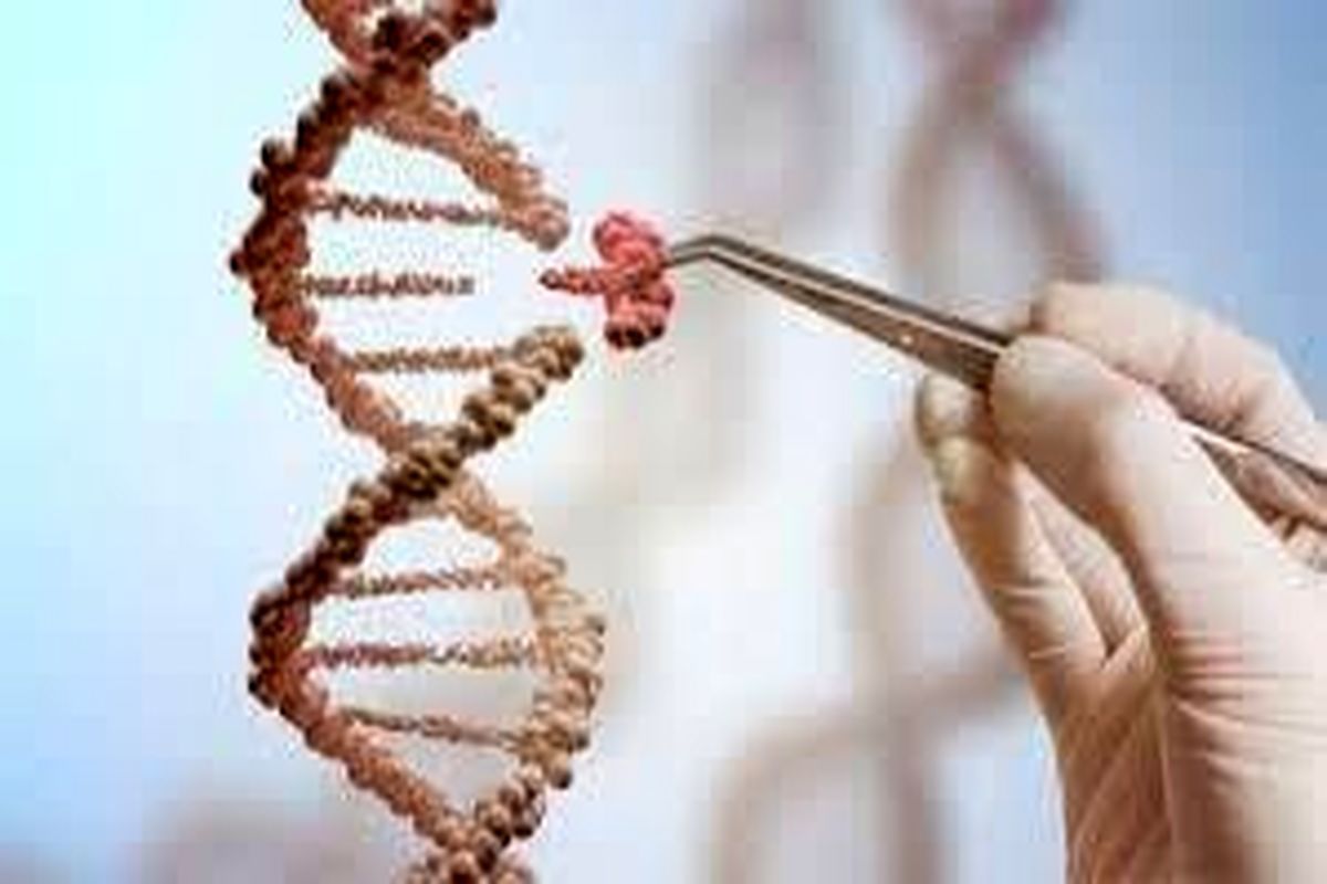دستگاه تکثیر ژن، در دانشگاه صنعتی شریف ، طراحی وساخته شد