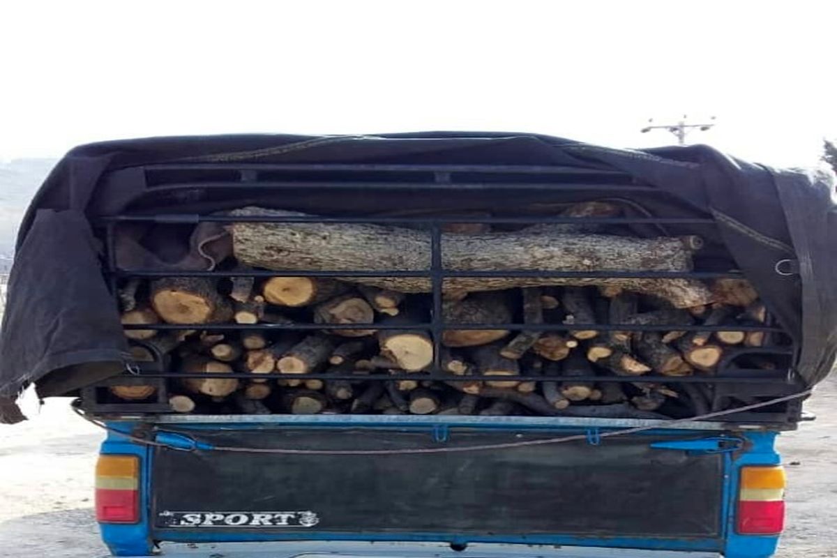 کشف و ضبط یک محموله قاچاق چوب بلوط