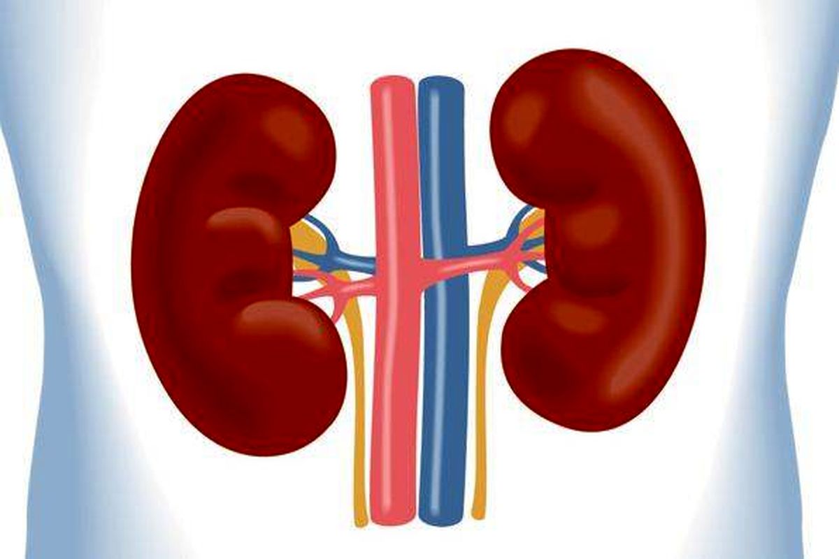 خطر عفونت کلیه را جدی بگیرید
