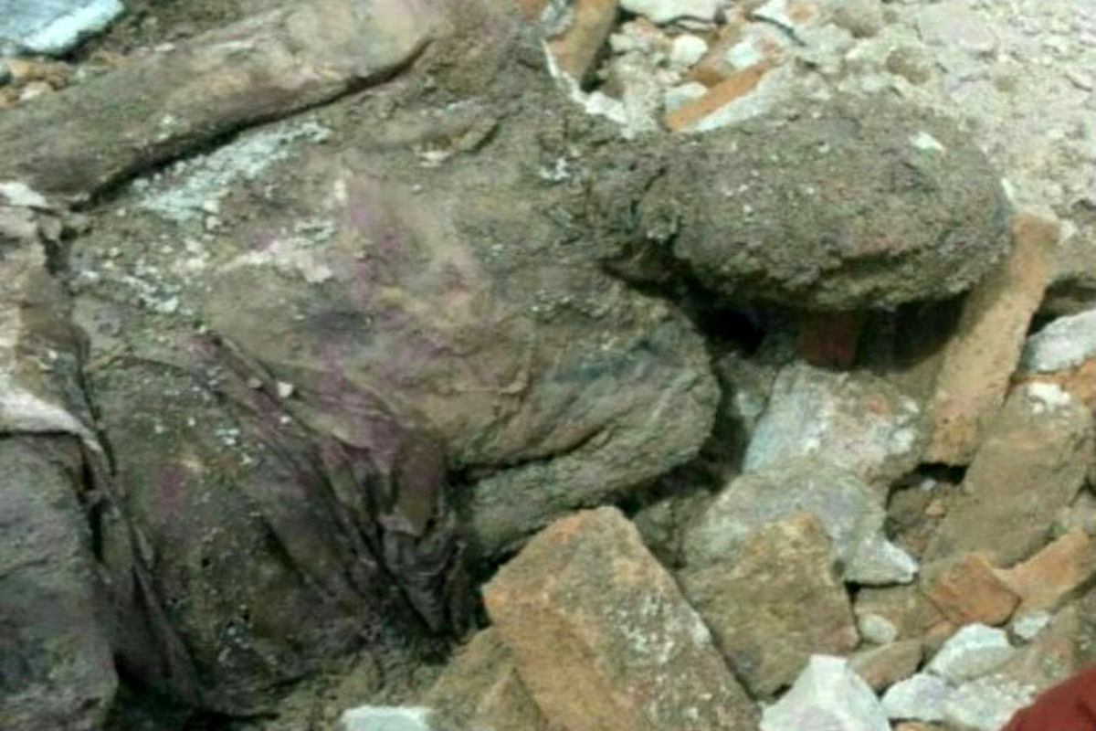 تأیید رسمی دفن جسد مومیایی منسوب به رضاخان