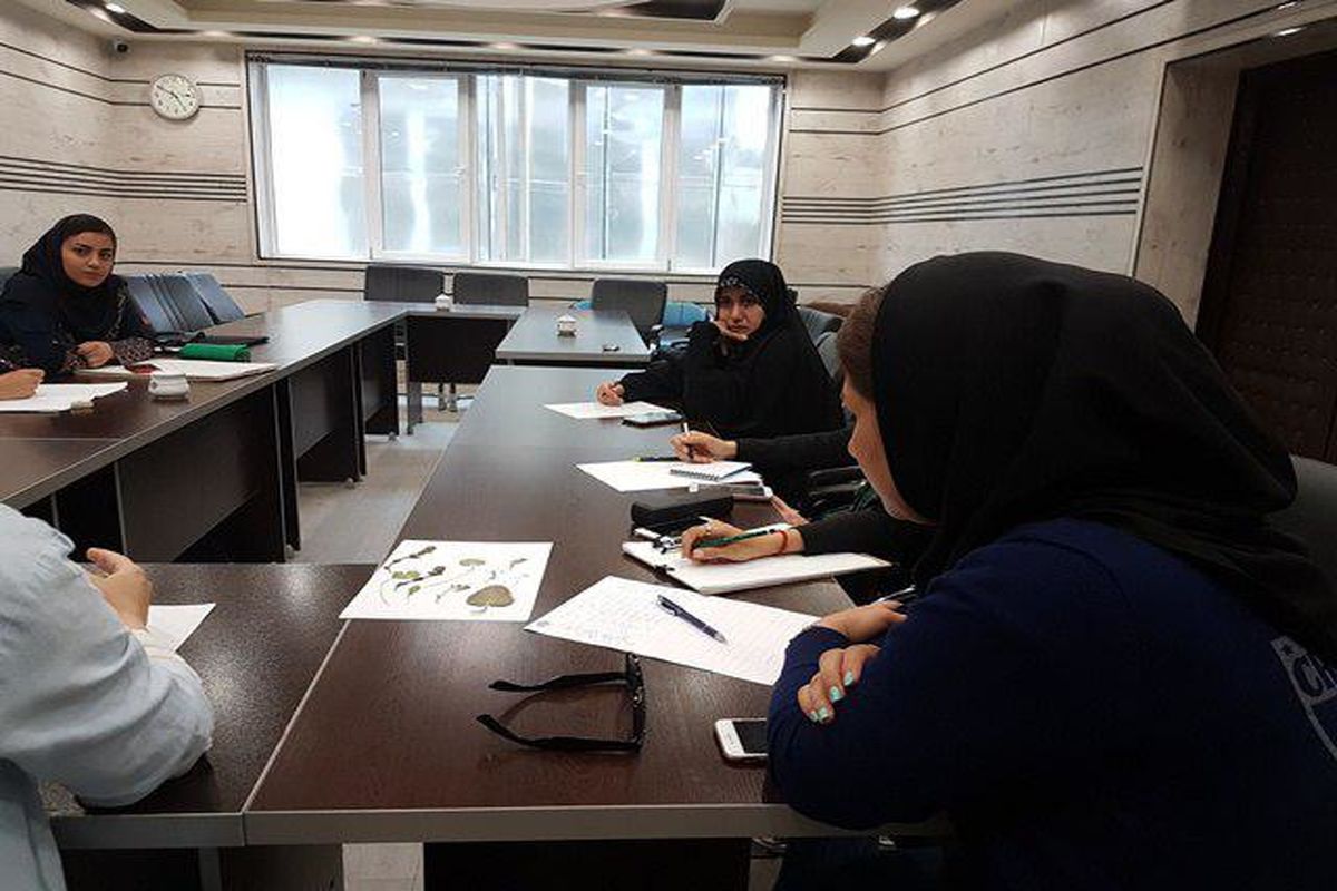 ورکشاپ آموزشی تصویر سازی در تبریز برگزار شد