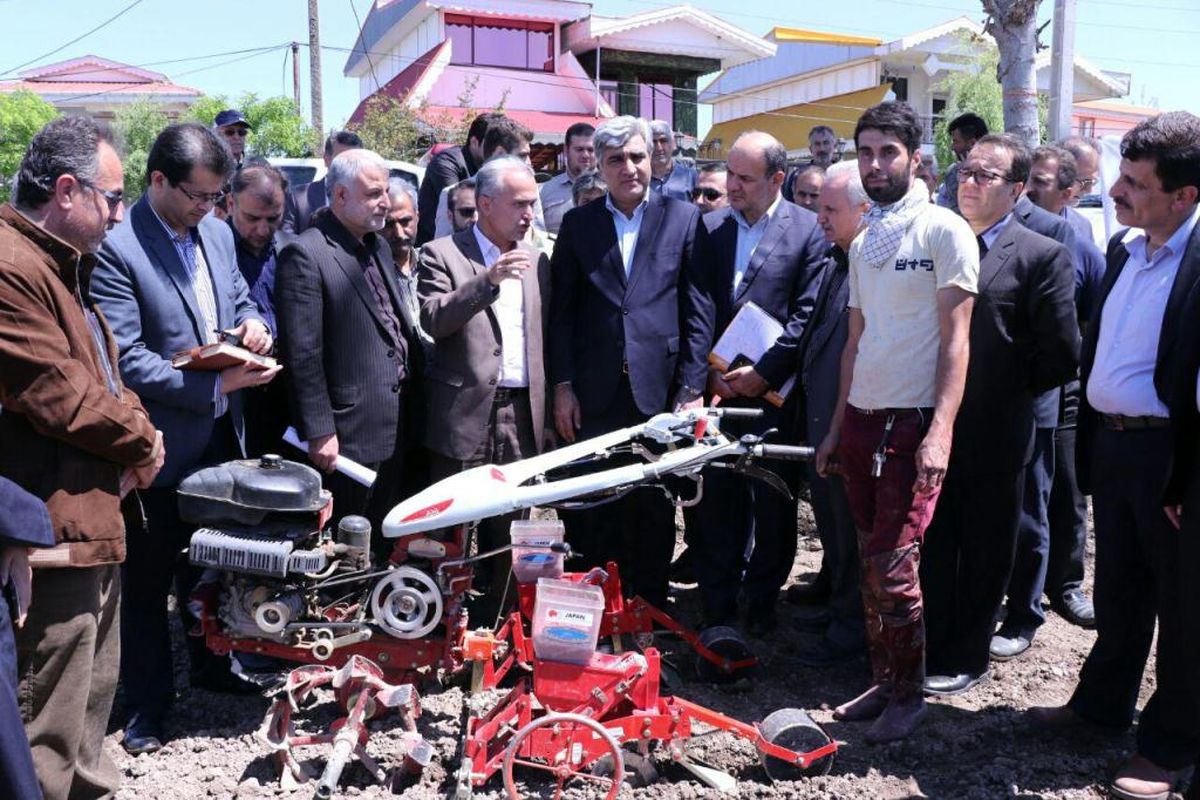 آغاز اولین کشت مکانیزه بادام زمینی در استان با حضور استاندار گیلان