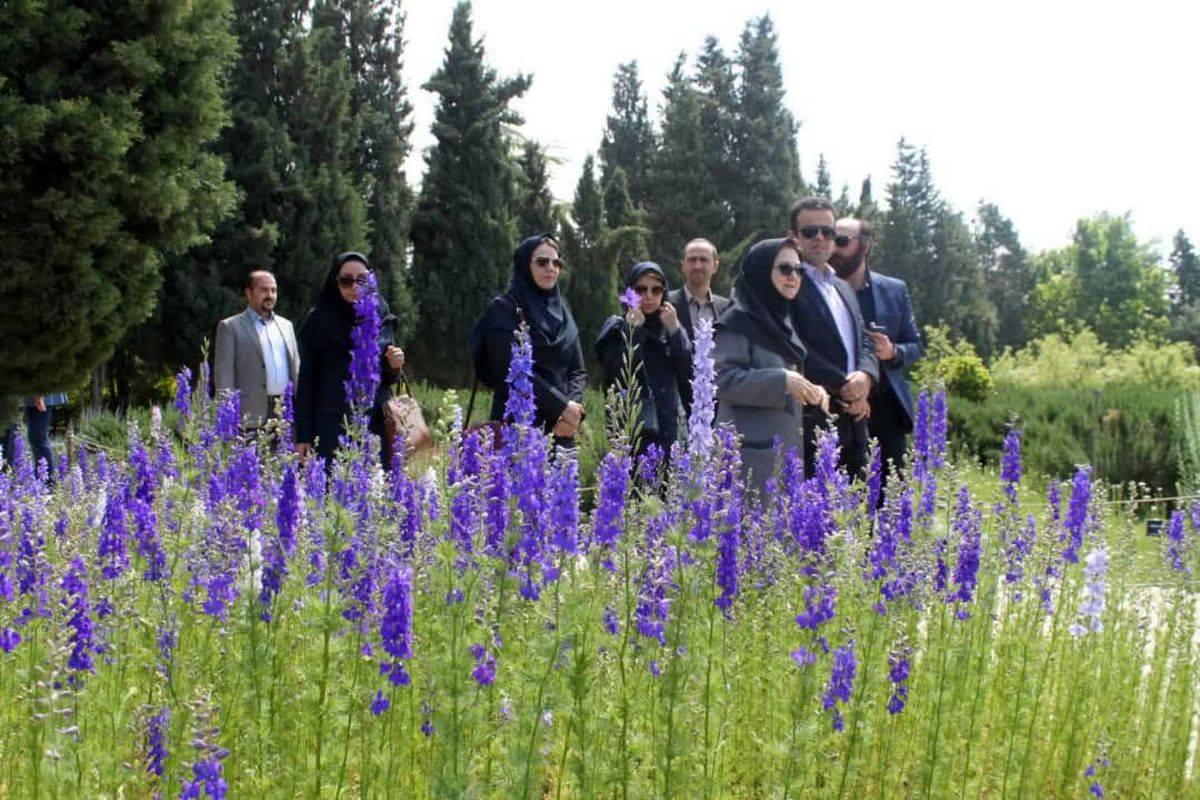 آغاز هم افزایی و همکاری محیط زیست شهرداری تهران و موسسه تحقیقات جنگل ها و مراتع کشور