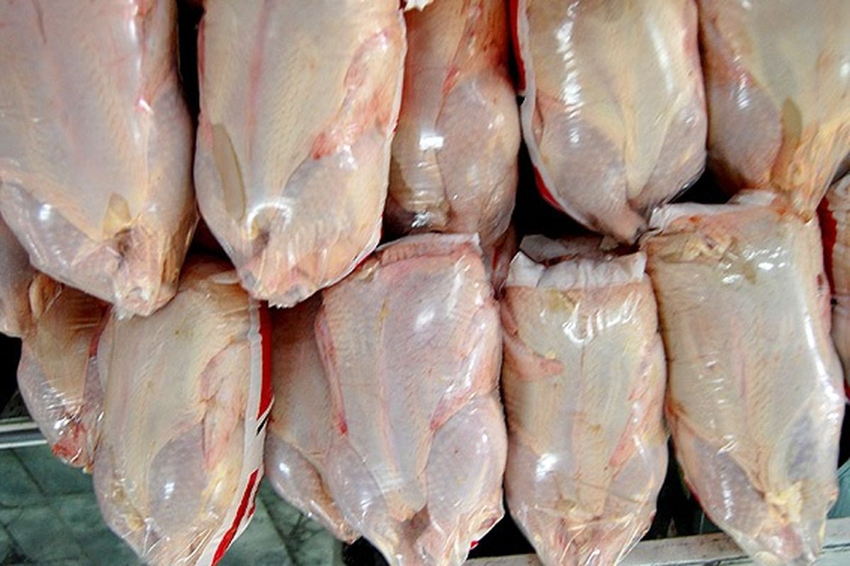 خرید حمایتی ۵۵۰۰ تن گوشت مرغ منجمد در استان اصفهان