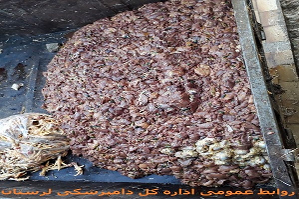 کشف و معدوم سازی ۱۵۰۰ کیلو کله مرغ در کوهدشت