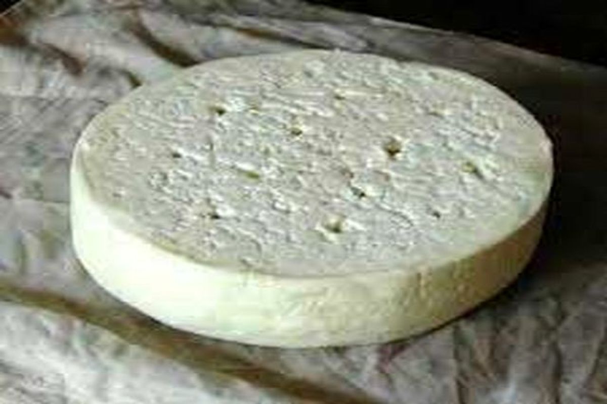 امحا ۱۸۰۰ کیلوگرم پنیر و خامه غیر بهداشتی و غیر قابل مصرف در شهرستان مهاباد