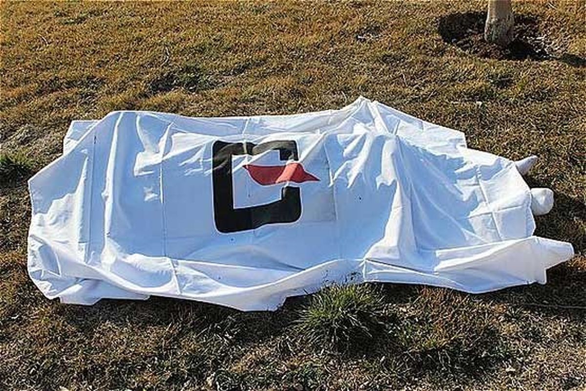 ۲ خواهر همسرانشان را به قتل رساندند