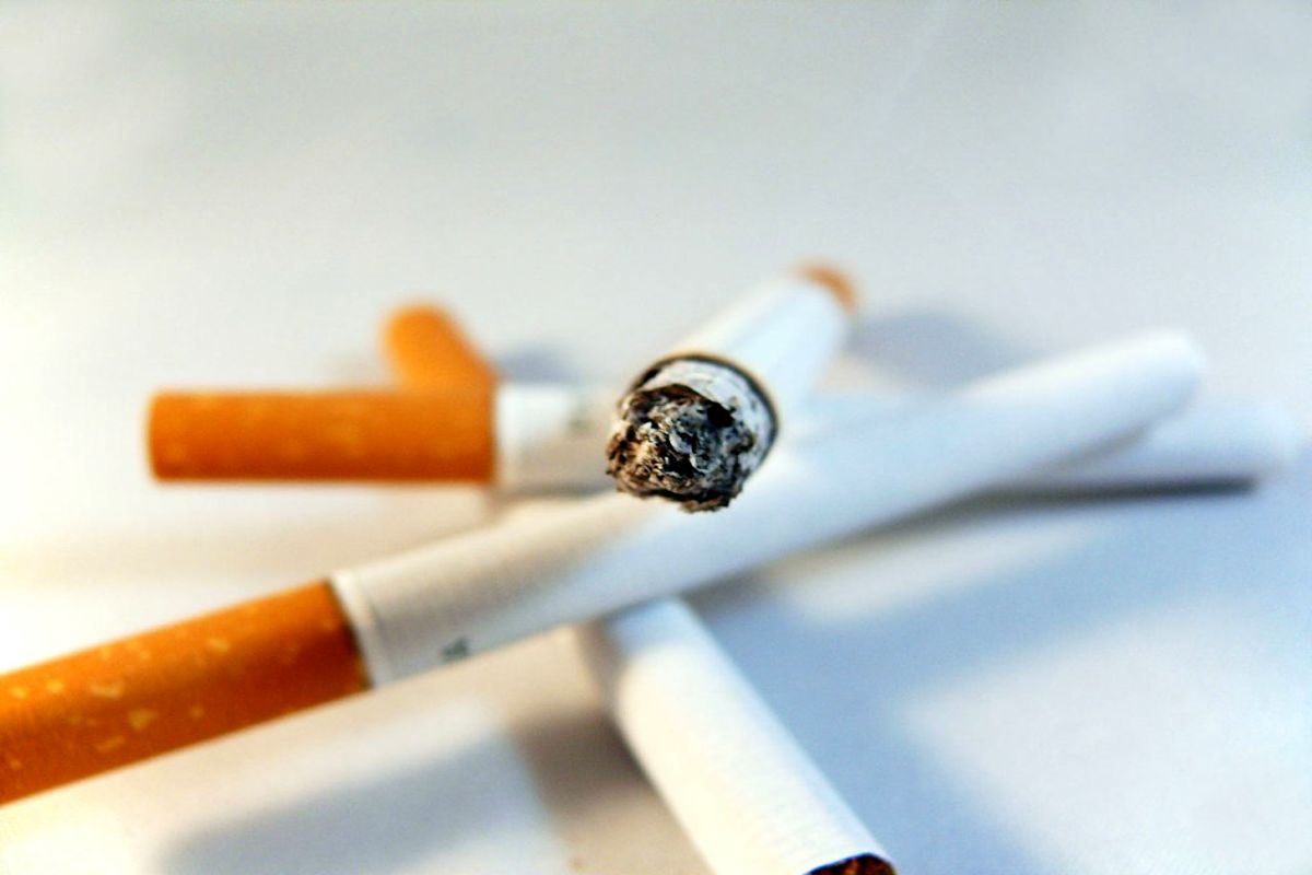 ۸۵درصد مبتلایان به سرطان ریه سیگاری هستند