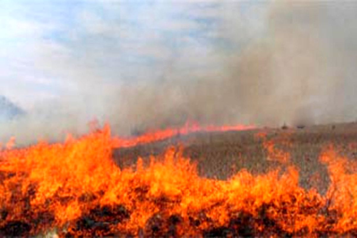 دود غلیظ خوزستان را فراگرفت