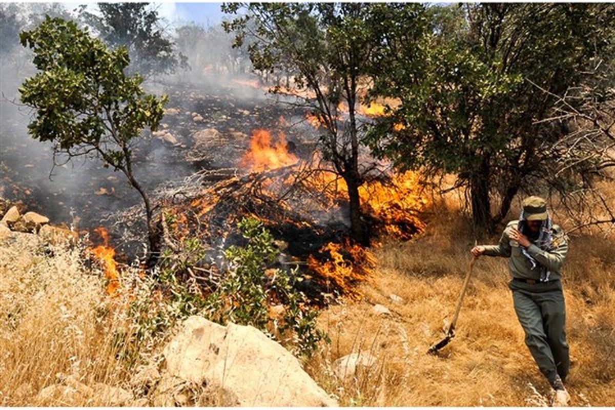 مهار  آتش سوزی در جنگلهای کبیرکوه