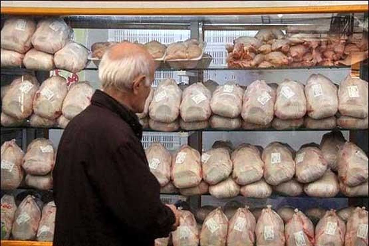 توزیع مرغ منجمد درشهرستان شادگان