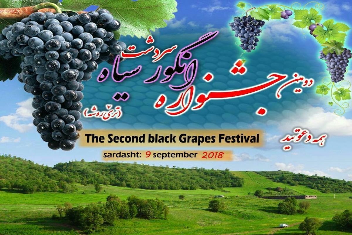 پیش‌بینی حضور ۵ هزار بازدید کننده از دومین جشنواره انگور سیاه سردشت