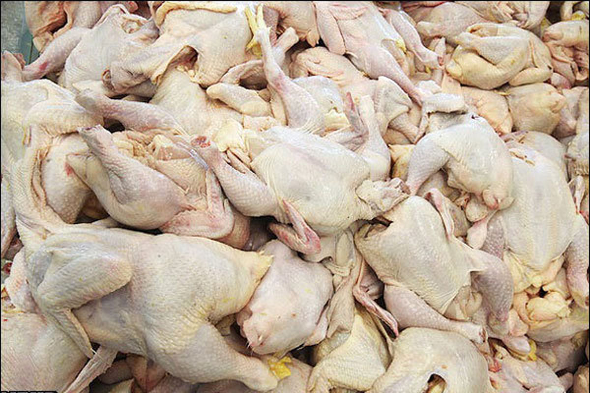 ۲ تن گوشت مرغ فاسد در اردبیل کشف شد