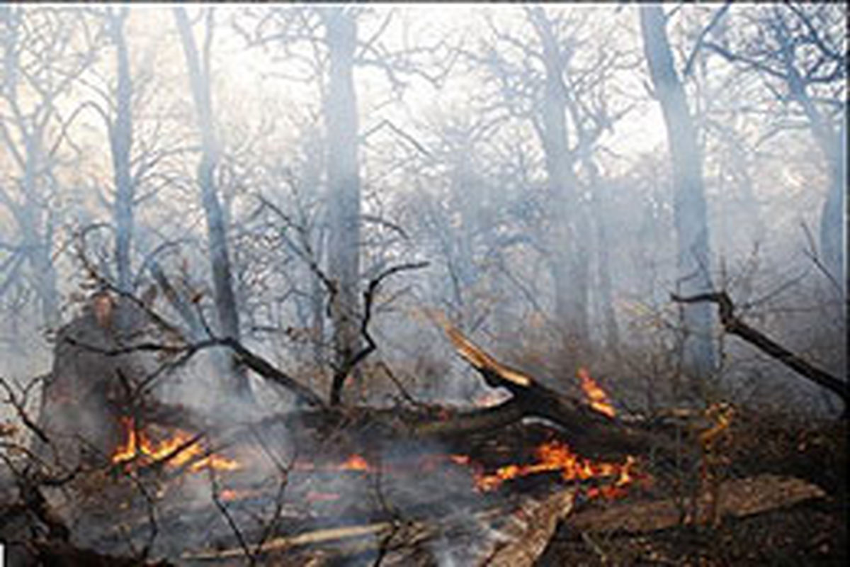 آتش سوزی جنگل‌های مریوان ده روزه شد