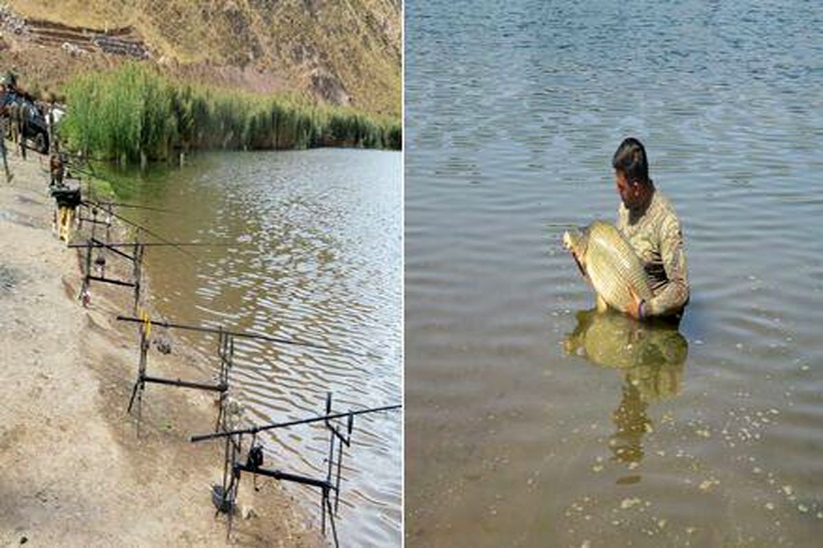 اجرای برنامه های صید ورزشی ماهی کپور در دریاچه اوان