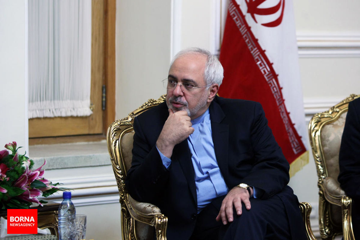 محمدجواد ظریف با رئیس‌جمهور ترکیه دیدار کرد