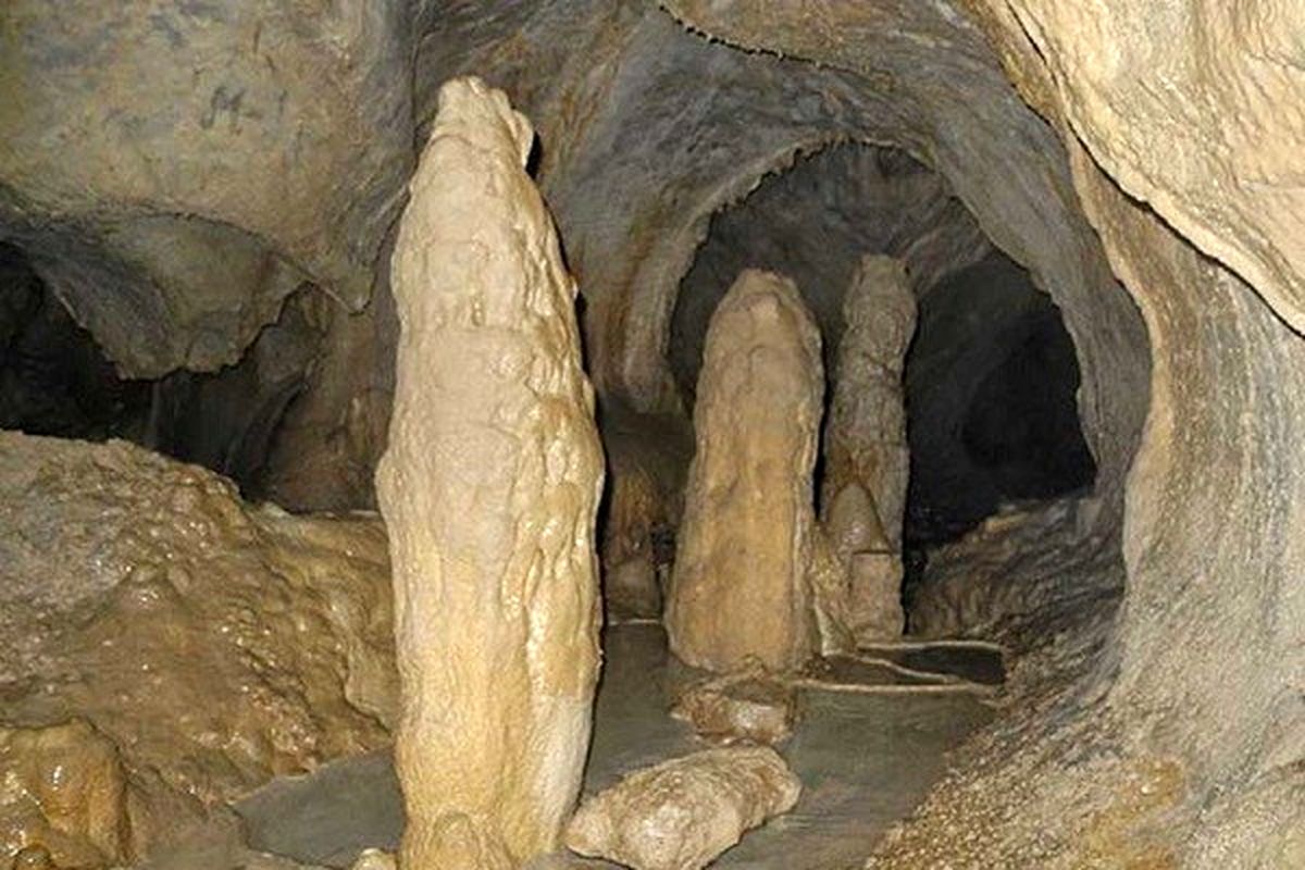 کشف یک دهنه غار در ارتفاعات سراوان/ زیستگاه امنی برای خفاش دم موشی و خزندگان در استان