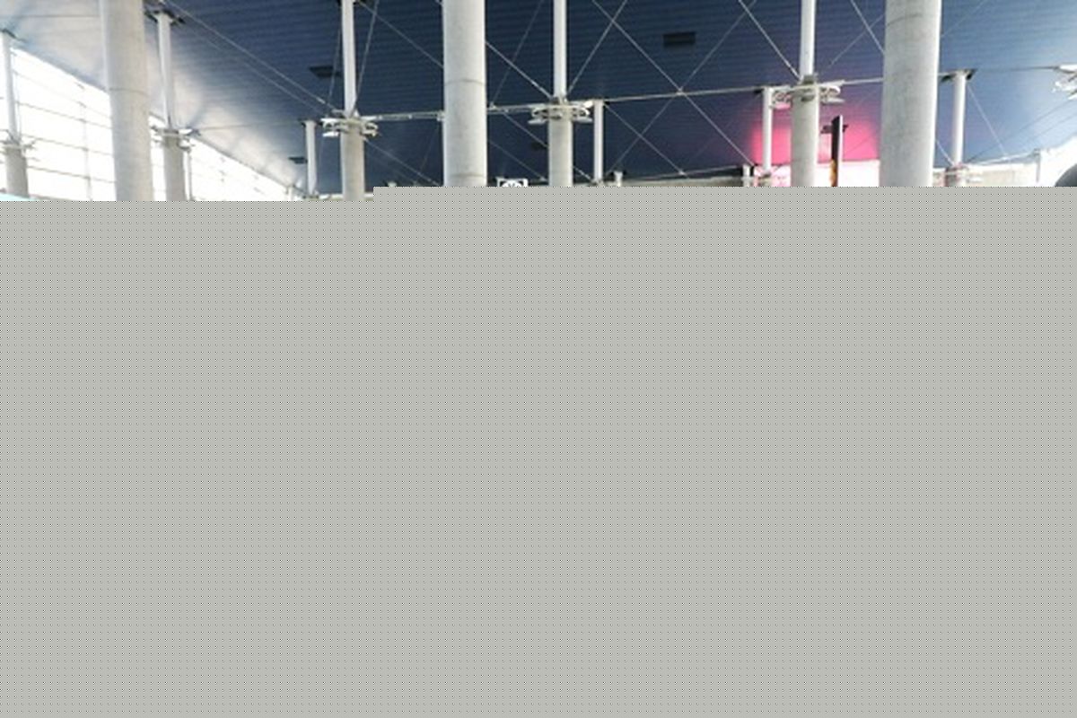 بازگشت مدال آوران پارآسیایی استان از جاکارتا