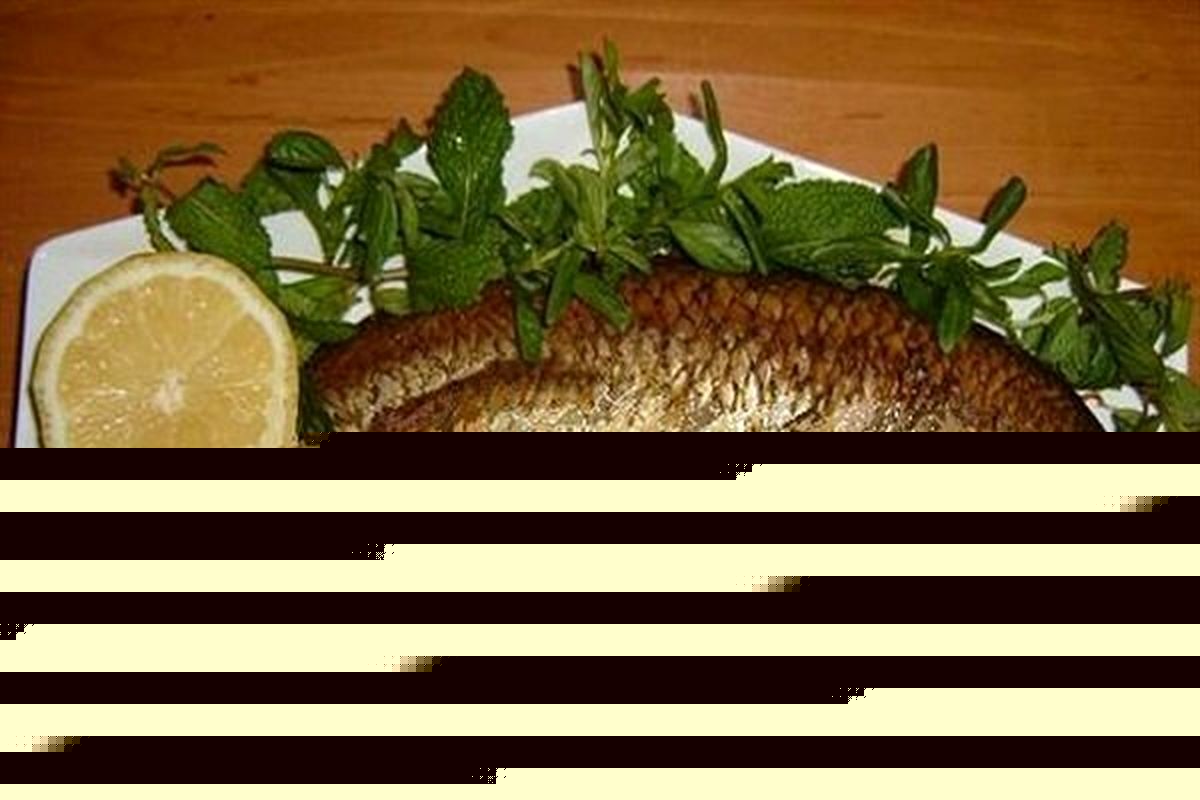 مسابقه طبخ آبزیان درشهرستان ایجرود