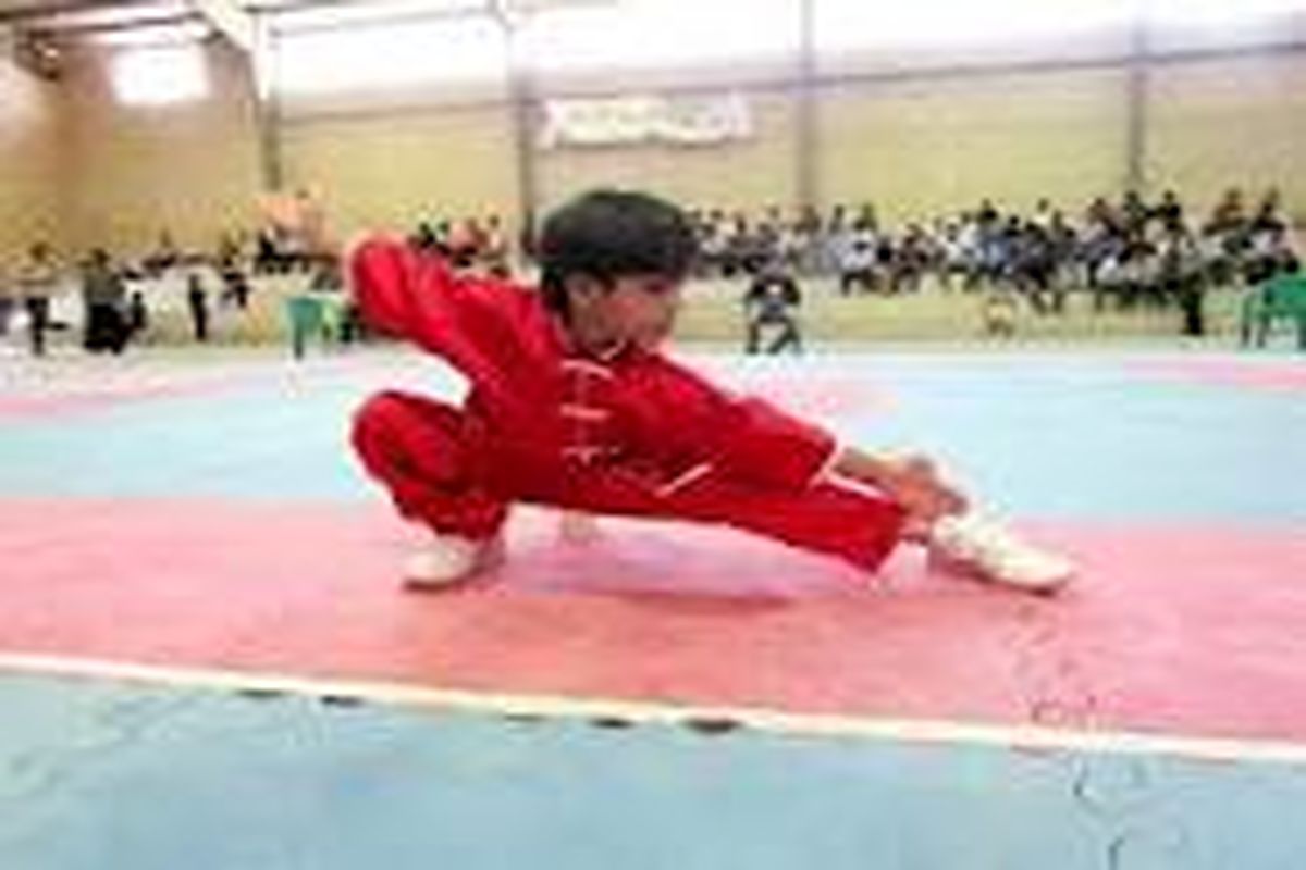 درخشش ووشو کاران زاوه در مسابقات کشوری