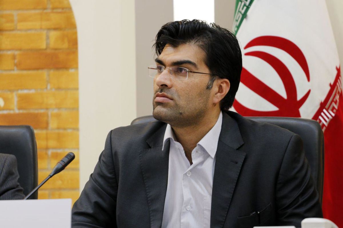 صد درصد اهداف سمن‌ها در استان کرمان محقق شده است