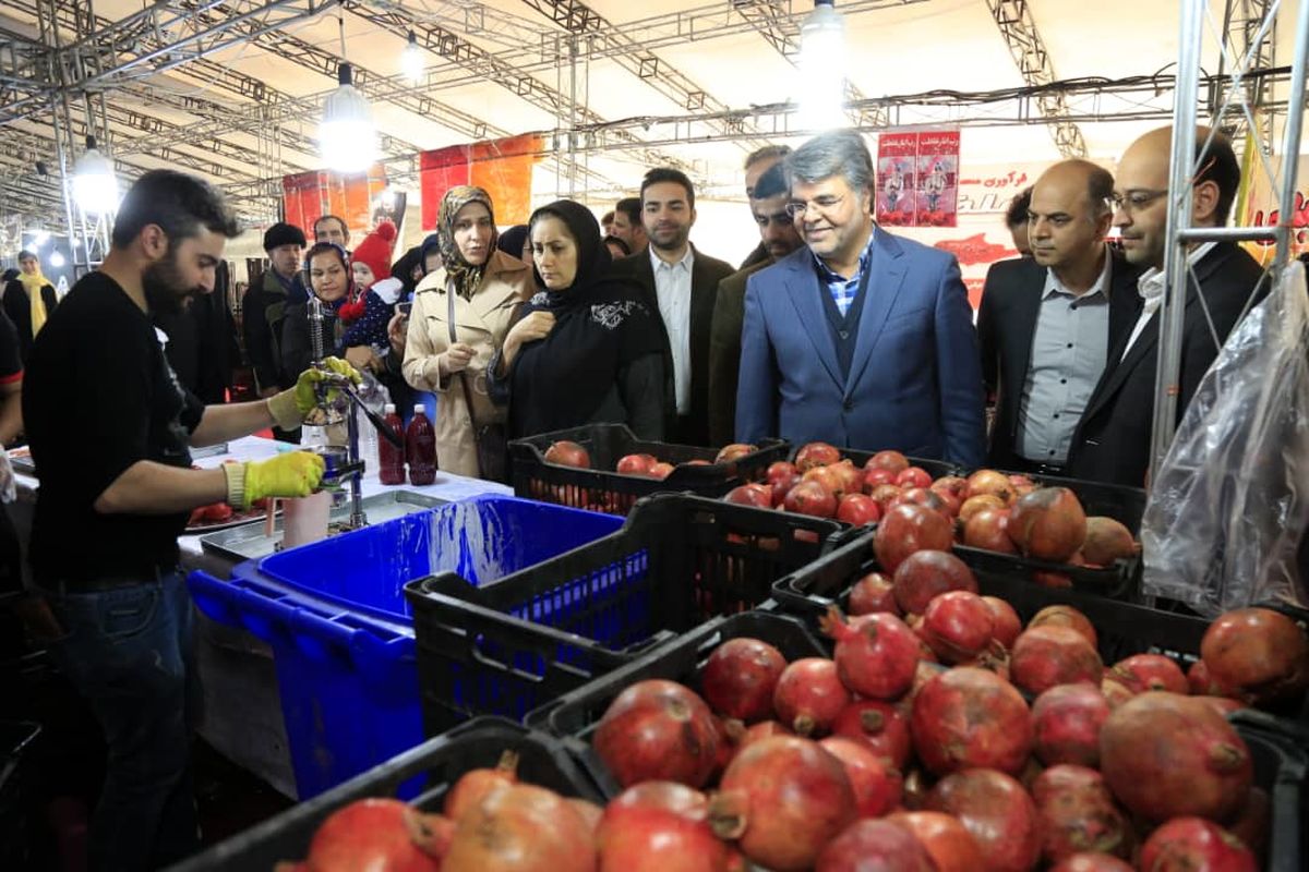 برگزاری نخستین «جشنواره انار» همزمان با نمایشگاه شب یلدا در غرب تهران