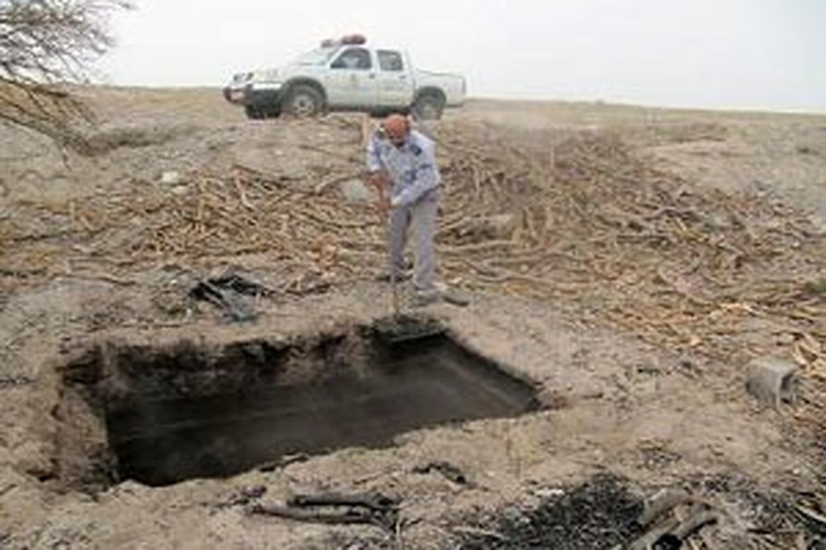 کشف و تخریب کوره ذغال غیر مجاز در شهرستان بندرعباس