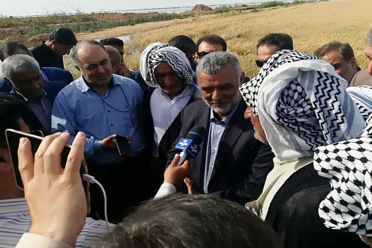 وزیر جهاد کشاورزی از اراضی کشاورزی دشت آزادگان بازدید کرد