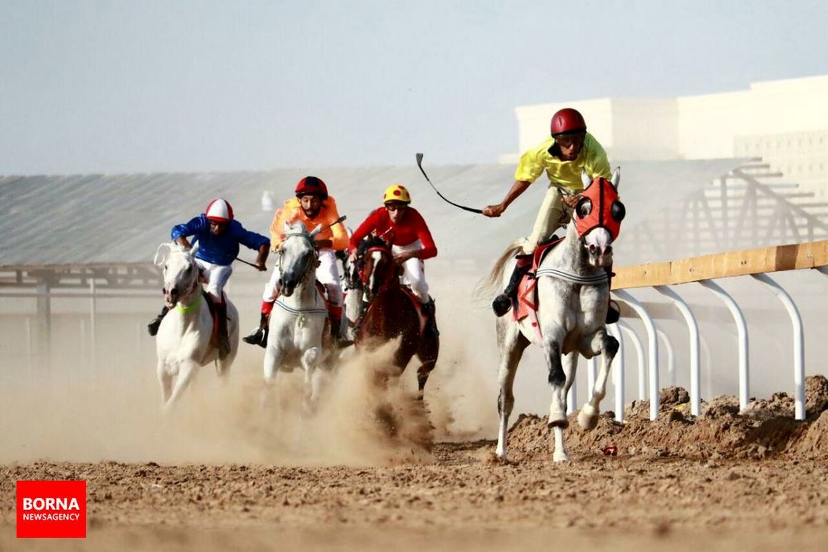 برگزاری دومین مسابقات کشوری اسبدوانی اسب اصیل عرب در اروند