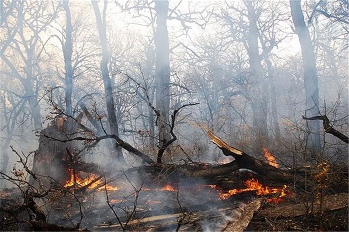 ۱۴۰۰ آتش‌سوزی در جنگل‌ها و مراتع ایران در سال جاری