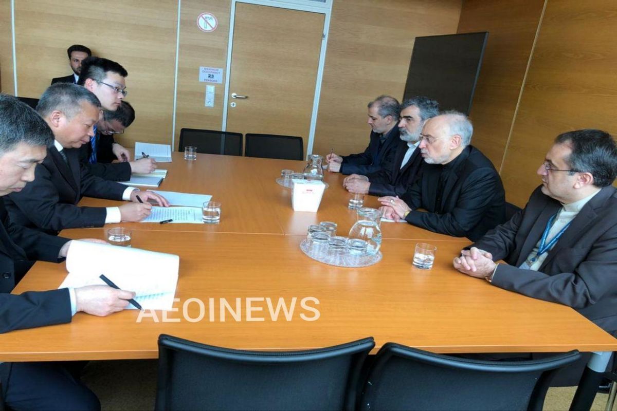 صالحی با رییس سازمان انرژی اتمی چین دیدار کرد