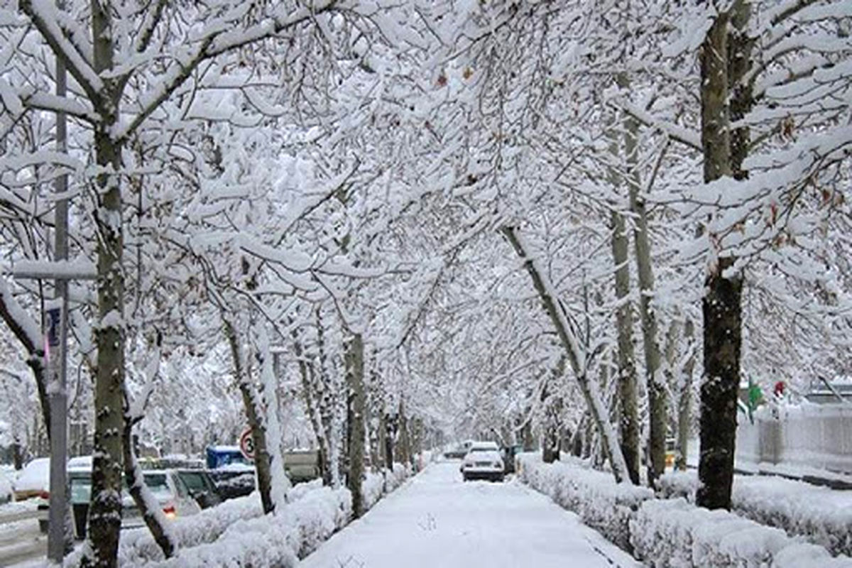 ۸۵ کشته و مصدوم حاصل بارش سنگین برف در گیلان